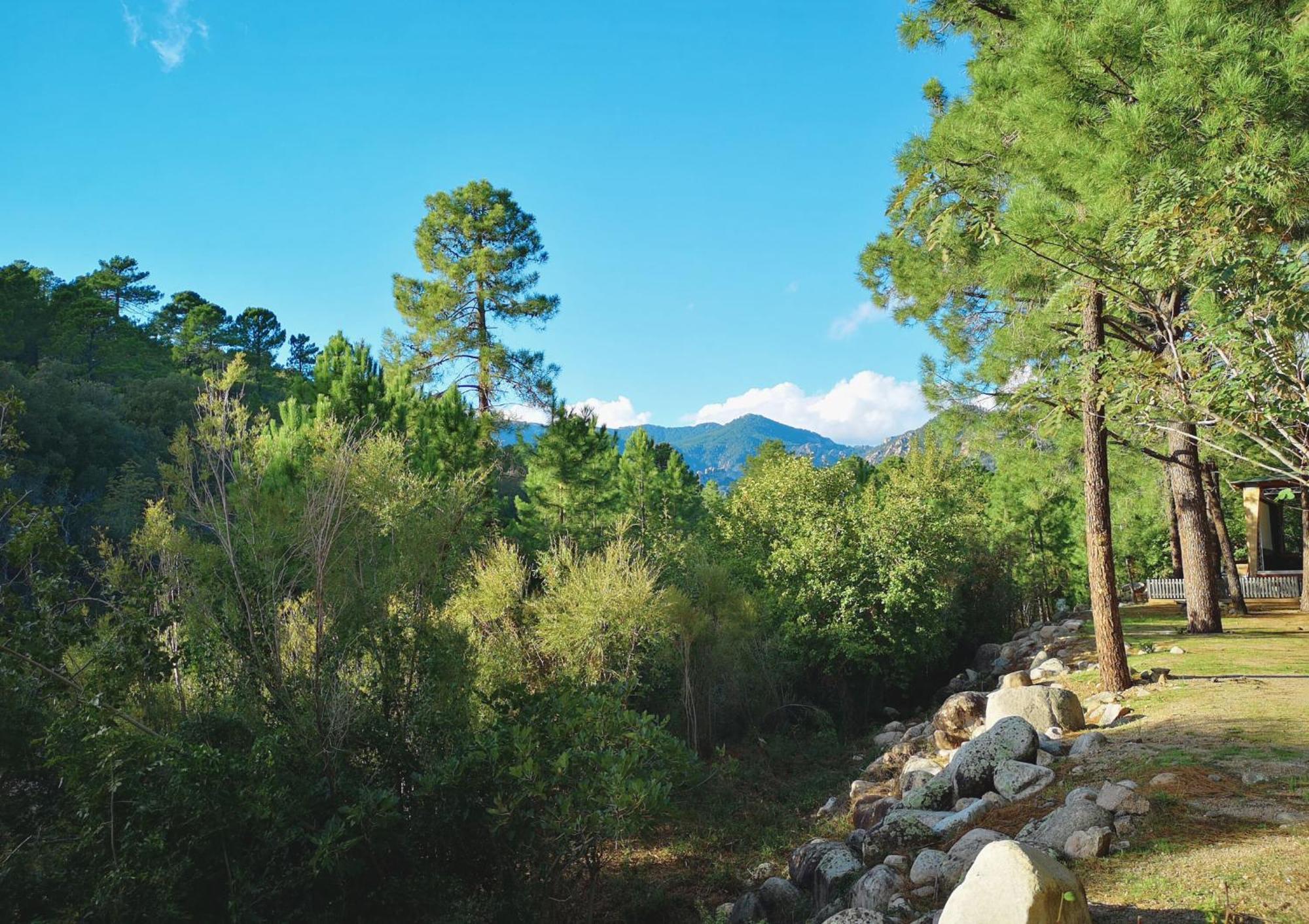Camping Mulinacciu Lecci Esterno foto
